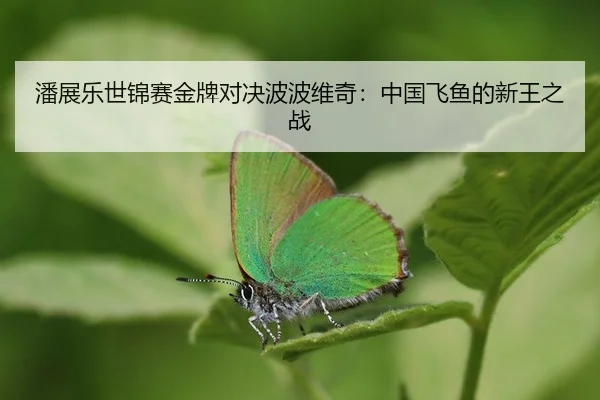 pan-zhan-le-shi-jin-sai-jin-pai-dui-jue-bo-bo-wei-qi-zhong-guo-fei-yu-de-xin-wang-zhi-zhan-2-614.jpg
