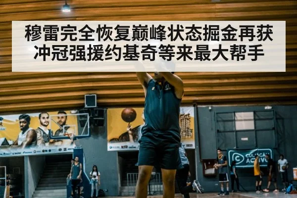 穆雷完全恢复巅峰状态掘金再获冲冠强援约基奇等来最大帮手